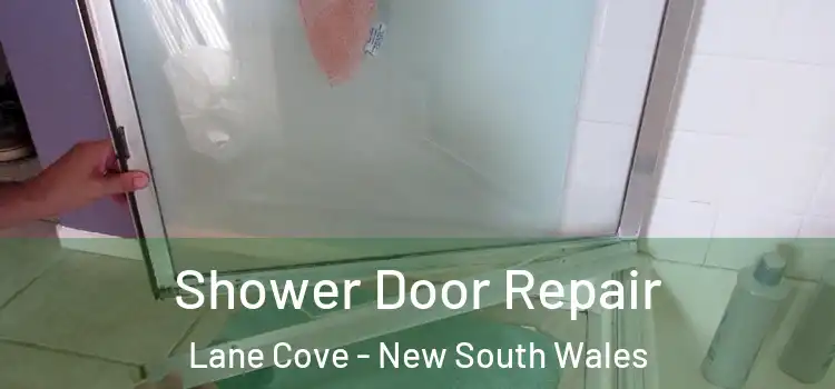 Shower Door Repair Lane Cove - New South Wales