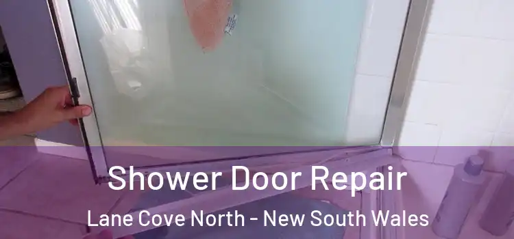 Shower Door Repair Lane Cove North - New South Wales