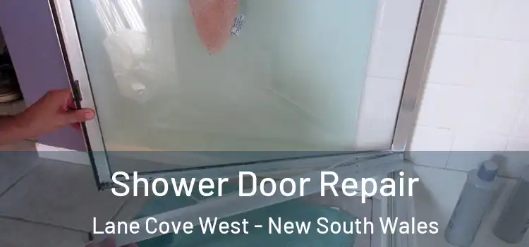 Shower Door Repair Lane Cove West - New South Wales