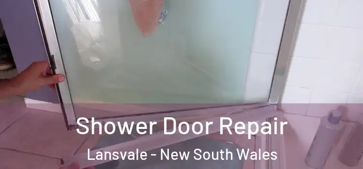 Shower Door Repair Lansvale - New South Wales