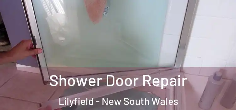 Shower Door Repair Lilyfield - New South Wales