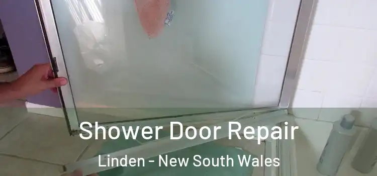 Shower Door Repair Linden - New South Wales