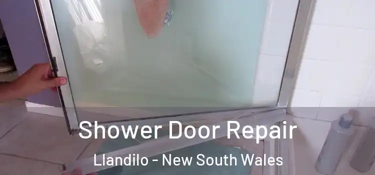 Shower Door Repair Llandilo - New South Wales