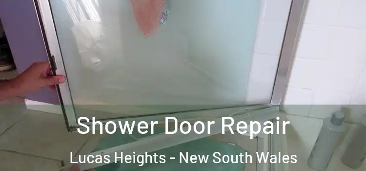 Shower Door Repair Lucas Heights - New South Wales