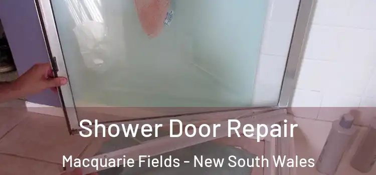 Shower Door Repair Macquarie Fields - New South Wales