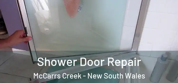 Shower Door Repair McCarrs Creek - New South Wales
