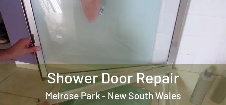 Shower Door Repair Melrose Park - New South Wales