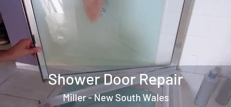Shower Door Repair Miller - New South Wales