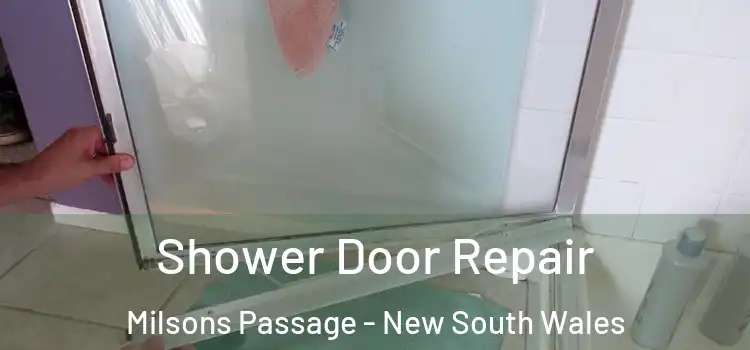Shower Door Repair Milsons Passage - New South Wales