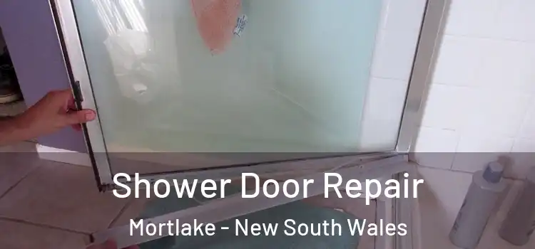 Shower Door Repair Mortlake - New South Wales