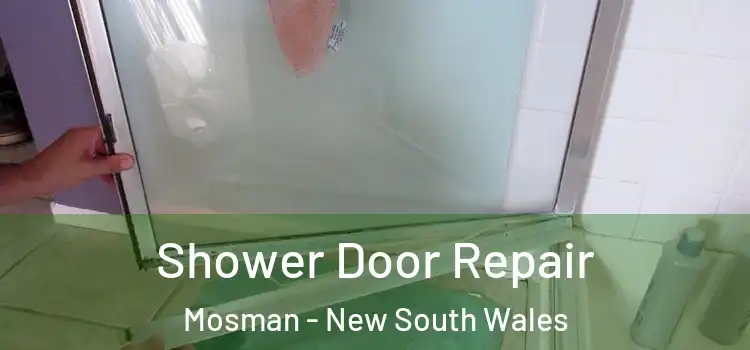 Shower Door Repair Mosman - New South Wales
