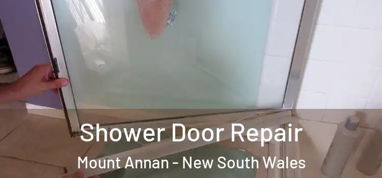 Shower Door Repair Mount Annan - New South Wales