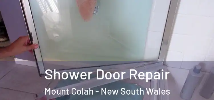 Shower Door Repair Mount Colah - New South Wales