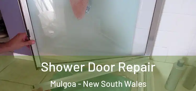 Shower Door Repair Mulgoa - New South Wales