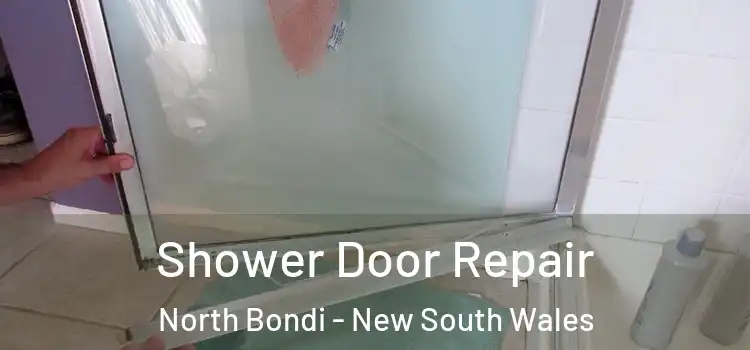 Shower Door Repair North Bondi - New South Wales