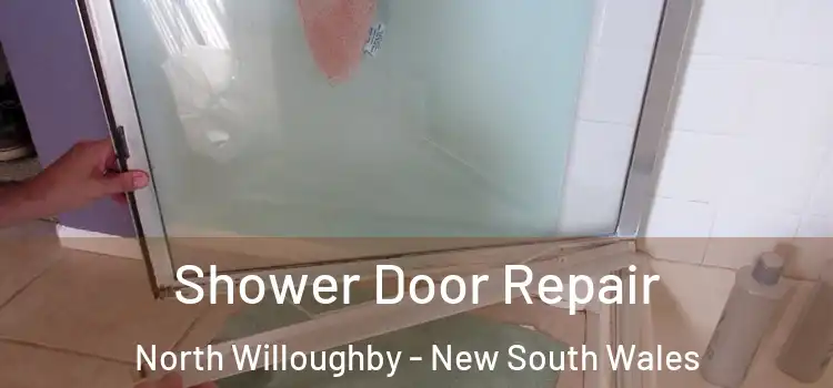 Shower Door Repair North Willoughby - New South Wales