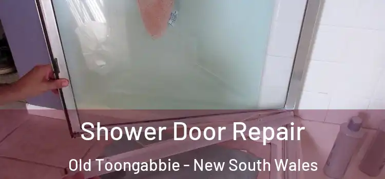 Shower Door Repair Old Toongabbie - New South Wales