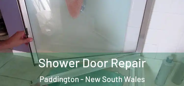 Shower Door Repair Paddington - New South Wales