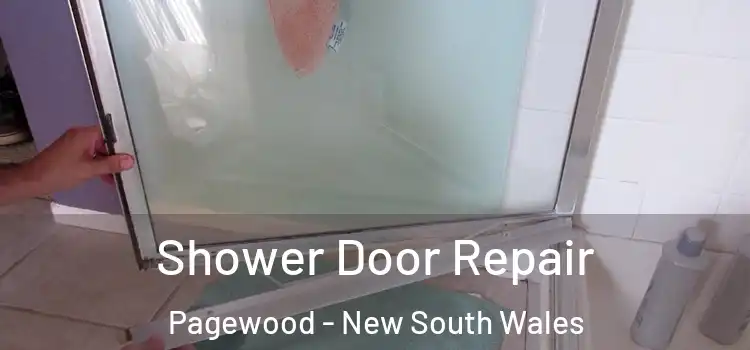 Shower Door Repair Pagewood - New South Wales