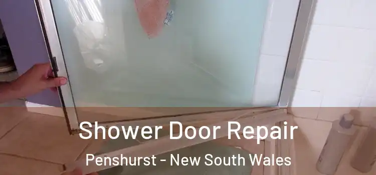 Shower Door Repair Penshurst - New South Wales