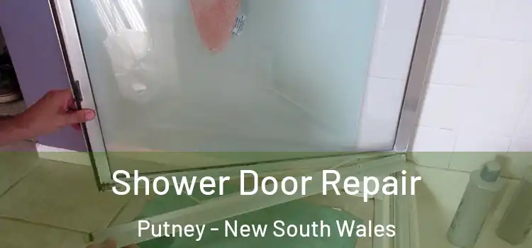 Shower Door Repair Putney - New South Wales