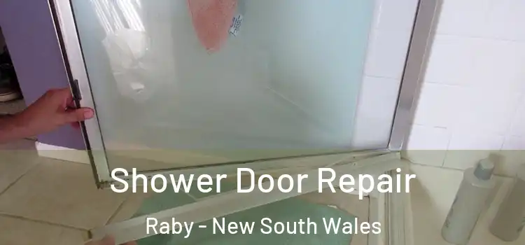 Shower Door Repair Raby - New South Wales