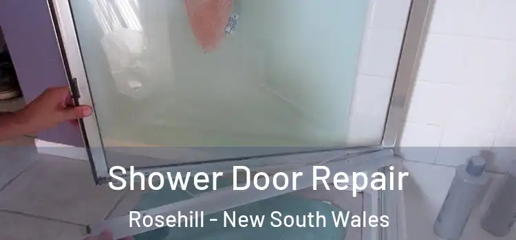 Shower Door Repair Rosehill - New South Wales