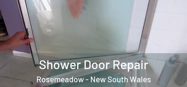 Shower Door Repair Rosemeadow - New South Wales