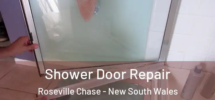 Shower Door Repair Roseville Chase - New South Wales