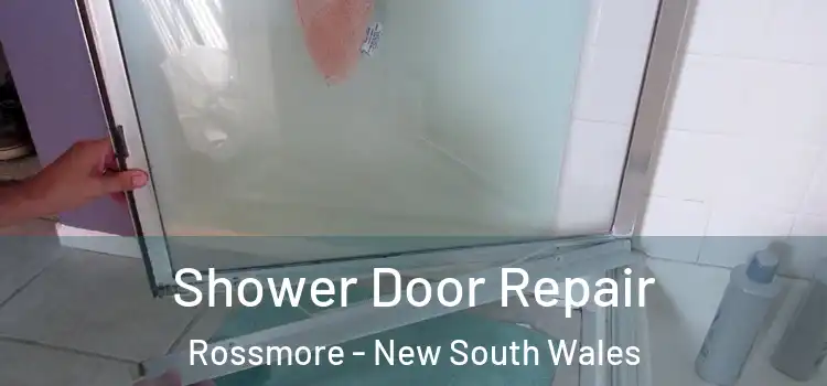 Shower Door Repair Rossmore - New South Wales