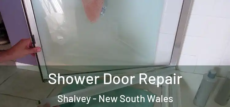 Shower Door Repair Shalvey - New South Wales