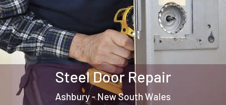 Steel Door Repair Ashbury - New South Wales