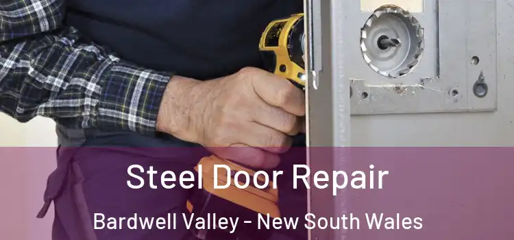 Steel Door Repair Bardwell Valley - New South Wales