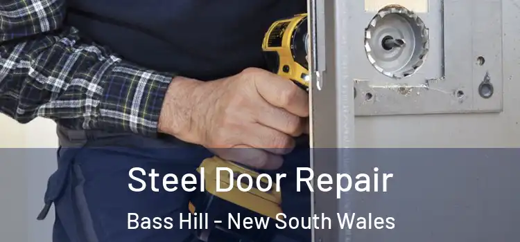 Steel Door Repair Bass Hill - New South Wales