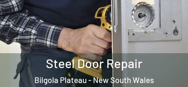 Steel Door Repair Bilgola Plateau - New South Wales