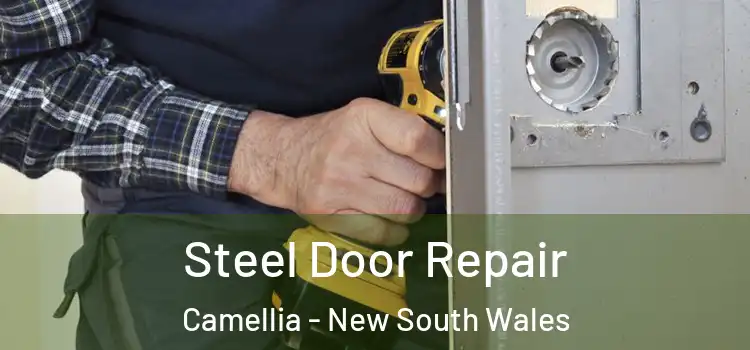 Steel Door Repair Camellia - New South Wales