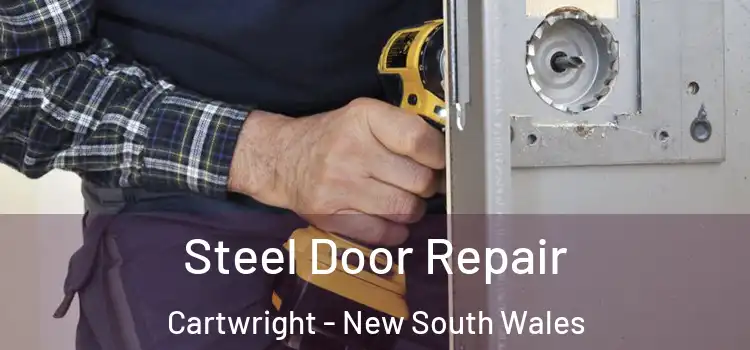 Steel Door Repair Cartwright - New South Wales