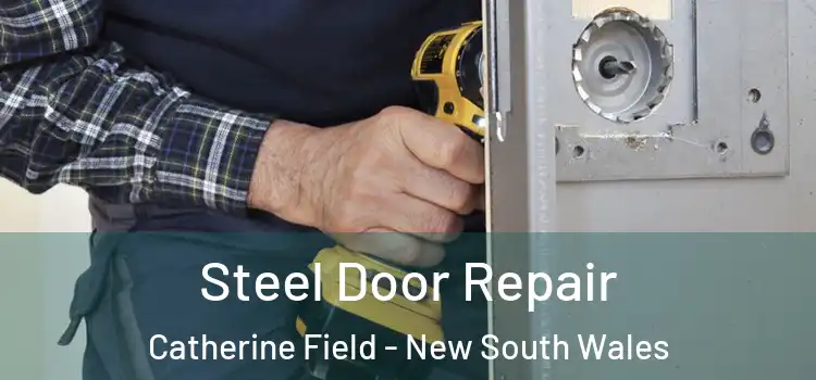 Steel Door Repair Catherine Field - New South Wales