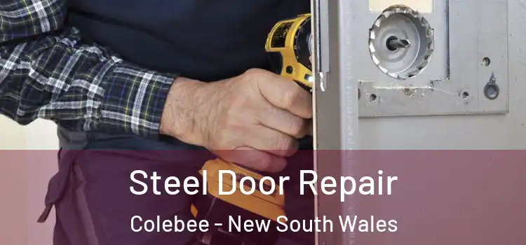 Steel Door Repair Colebee - New South Wales