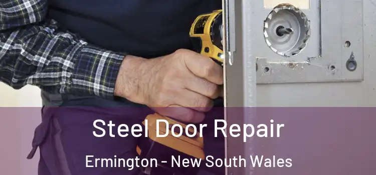 Steel Door Repair Ermington - New South Wales
