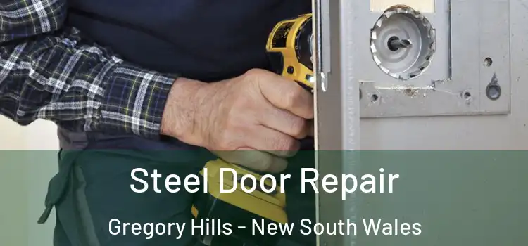 Steel Door Repair Gregory Hills - New South Wales