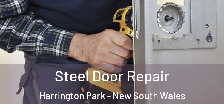Steel Door Repair Harrington Park - New South Wales