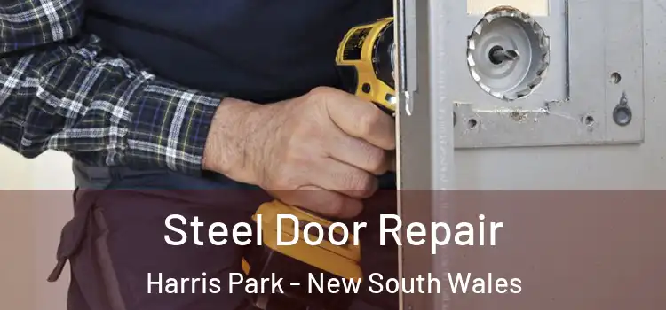 Steel Door Repair Harris Park - New South Wales