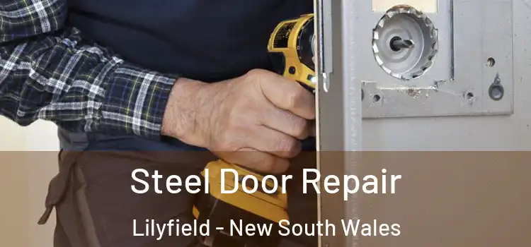Steel Door Repair Lilyfield - New South Wales