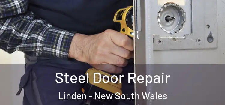 Steel Door Repair Linden - New South Wales