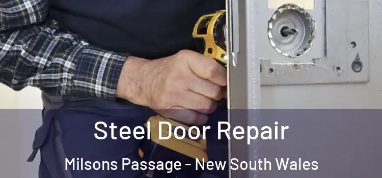 Steel Door Repair Milsons Passage - New South Wales