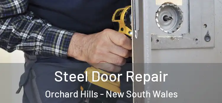 Steel Door Repair Orchard Hills - New South Wales