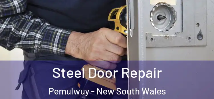 Steel Door Repair Pemulwuy - New South Wales