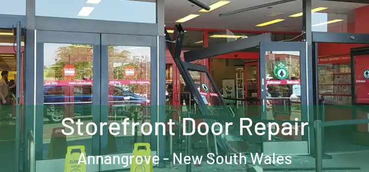Storefront Door Repair Annangrove - New South Wales