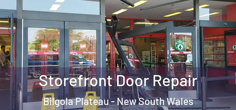 Storefront Door Repair Bilgola Plateau - New South Wales